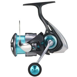 _C 24 G_X X LT2500 / XsjO[ daiwa ދ yԌZ[z