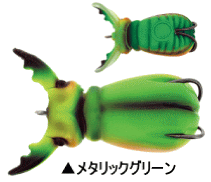 43ブレインタートル IMG_4485.jpeg
