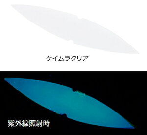 _C CV̕тꃏ[ #PCNA / D^`EIe d| ދ y[֔z