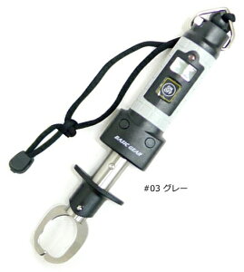 x[VbNMA fW^XP[2 tBbVObv #03 O[ / {KObv ދ