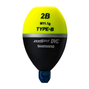 V}m [sbg PG-A04X DVC TYPE-B CG[ M B / EL y[֔z