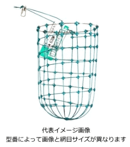R}ZJS nN^J OCJS 62AW / Ta JSނ A~JS d| ދ