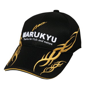 }L[ }L[gCobVLbv01 ubN LTCY / Xq