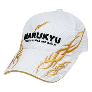 }L[ }L[gCobVLbv01 zCg MTCY / Xq