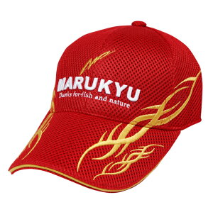 }L[ }L[gCobVLbv01 bh MTCY / Xq yԌZ[z