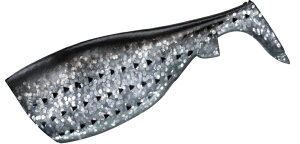 _C AU V[oXf tbg XyA{fB RmV / [ A[ ދ y[֔z