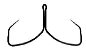 }g ` |  V 9 / | j b ދ y[֔z