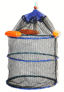 RguL o[R[eBOXJ RUBXJ 50cm 3i N-1443 / ދ