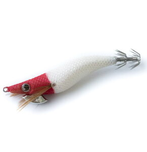 u[f GM} VGveB 2.5S X[ 25 STԔO[ / CJ^ hbp[ ދ y[֔z