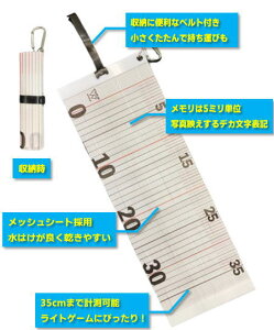 EF[uMA bVW[ 35cm KG-407 / tBbVO XP[  y[֔z yΖZ[z