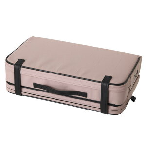 _C NbV LT(D) TN / ւԂ pi daiwa ދ