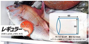 ތ 悲񂨋 M[ / [ V[g ދ y[֔z