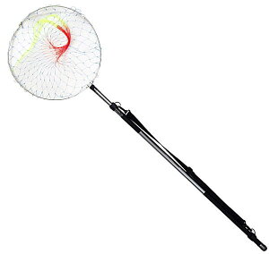 ʖԃZbg v} CB u[xC 360 / ʂ̕  ^g ދ