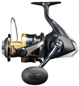 V}m 21 XtFXSW 8000PG