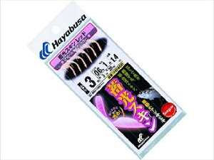 nuT^HAYABUSA AW hAWܖځ@bhi{XLj