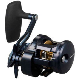 ダイワ／DAIWA　25 ソルティガ 300　（25年モデル　右巻き／ノーマルギア　6．3　ベイトリール　SALTIGA）