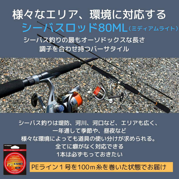 楽天市場】シーバス入門オールインワンセットPEシーバスロッド＋リール 