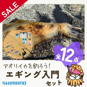 V}mőGMO劮SނZbg PEC GM5t iA[}`bN FX2000 GMOZbg GM PITBULL VbN[_[ GMbN S12_Zbgj