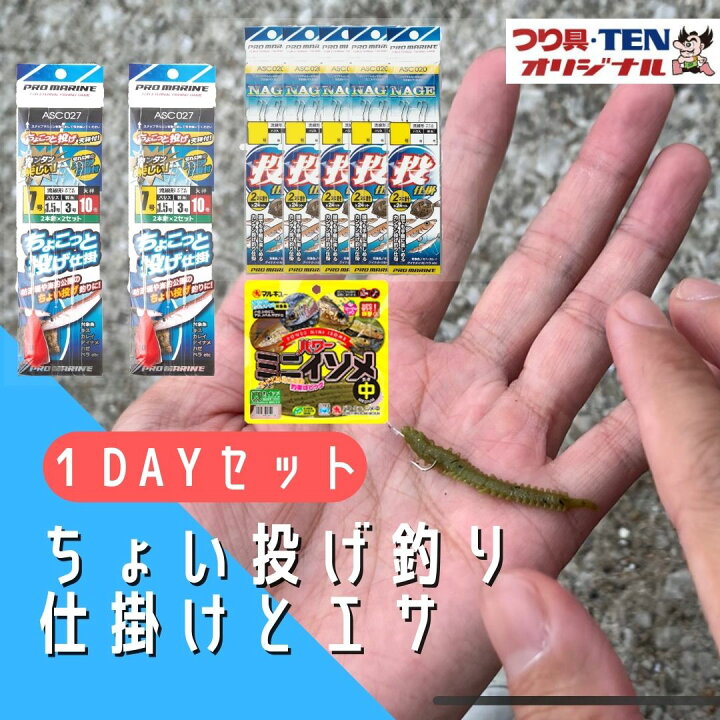 楽天市場】ちょい投げ釣り 仕掛け1人〜2人用 1DAYパック（投げ 