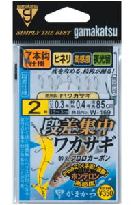 y܂z@W-169@iWJTMd|@F1@7{b@2.0