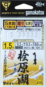 y܂z@W-191@ O΃JTMd|@2.0