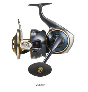 y_Cz25\eBK 25000-Py2025Nfz