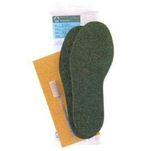 yoCzNo.1803 yALbg16 iCEFC_[p M ytFg\[z