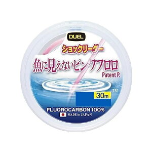 yfGzɌȂsNt VbN[_[ 30m 2.5lb