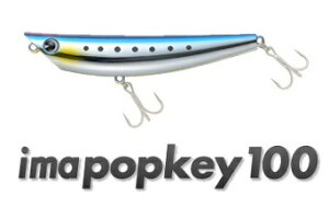 yAYfUCzima@|bL[100@#IP100-004 CV