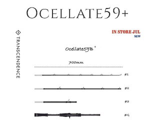 yTranscendencebgXZfXzOcellate59+