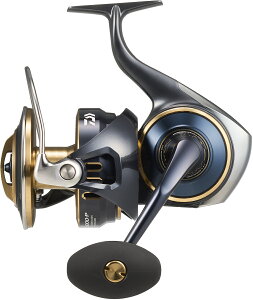y_C(Daiwa)z25\eBK@25000|P XsjO[