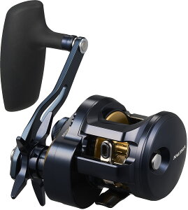 y_C(Daiwa)z25\eBK@300H [