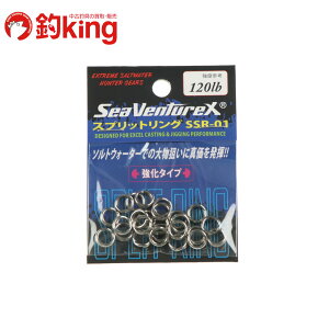 SeaVentureX XvbgO SSR-01 120LB q}T u Jp` VA h D