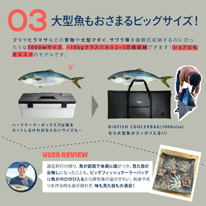 楽天市場】CHONMAGE FISHING フィッシュクーラー ソフトクーラー 