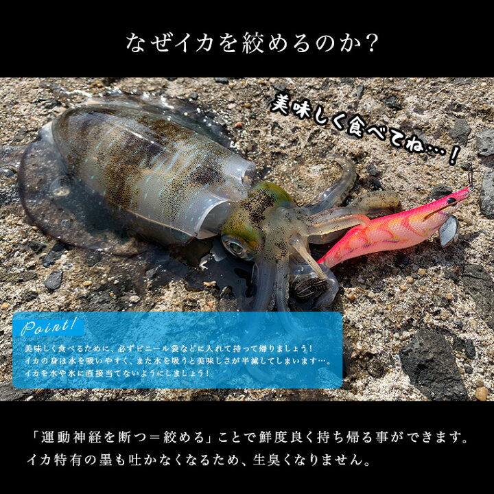 楽天市場 Chonmage Fishing イカ締め ピック 締め具 3in1 エギングツール ピック ギャフ カンナチューナー 釣king 楽天市場 Chonmage Fishing イカ締め ピック 締め具 3in1 エギングツール ピック ギャフ カンナチューナー 釣king