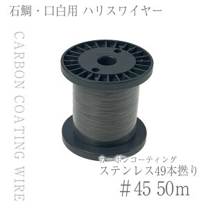 CHONMAGE FISHING ΑE 49{Q J[{R[eBO C[ nXp p50m{r 49×#45