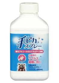 健栄製薬　手ピカスプレー　つけかえ用　(420mL)　付け替え用 防災 備蓄　【指定医薬部外品】