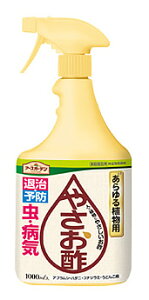 A[X A[XK[f ₳| (1000mL) E Xv[ Q 쏜 ΍ \h ϗtA K[fjO ƒ؉ |pi