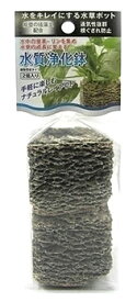 楽天市場 水草ポットの通販