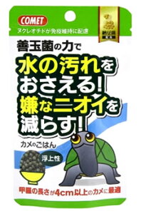 イトスイ コメット カメのごはん 納豆菌配合 (40g) かめ 亀 エサ