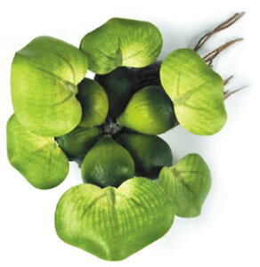 WFbNX@_J̎Y@zeCAIC@(1)@@pANZT[@Ϗ܋pi