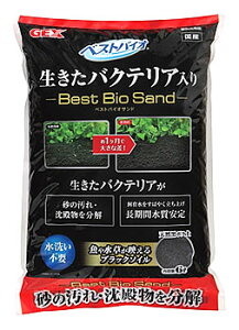 WFbNX@xXgoCITh@(6L)@\CTh@ꍻ@Ϗ܋pi