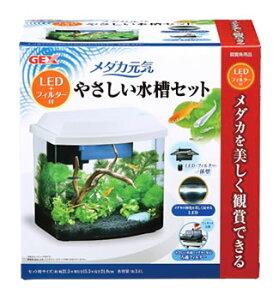 メダカ元気 ジェックス 水槽の人気商品 通販 価格比較 価格 Com メダカ元気 ジェックス 水槽の人気商品 通販 価格比較 価格 Com