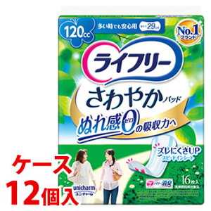 sP[Xt@j`[ Ct[ ₩pbh łSp 120cc (16)×12 APApbh yx֗pi@yÔTΏەiz