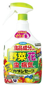 t}L[ J_Z[t (1000mL) ƒ뉀|p E Eۍ Hi܂