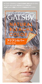 楽天市場 アクアシルバー ギャツビー ヘアカラーの通販 楽天市場 アクアシルバー ギャツビー ヘアカラーの通販