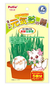 ペティオ ネコの元気草の種 (15g×5包入) 新鮮生野菜の種　犬・猫用