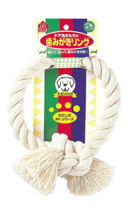 yeBI ݂O L ^p (1) p f^PA