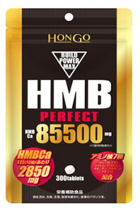 Hongo HMB PERFECT HMB �p�[�t�F�N�g 85500 (350mg×300��) HMB�J���V�E�� �h�{�⏕�H�i�@���y���ŗ��Ώۏ��i