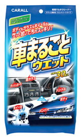 晴香堂 カーオール 車まるごとウェット 2008 (30枚入) 車用マルチクリーナー カークリーナー